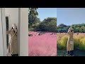 Seoul vlog 🌸 Pink muhly grass in Korea • Korean autumn aesthetics 🍞 Healthy zucchini brownie recipe