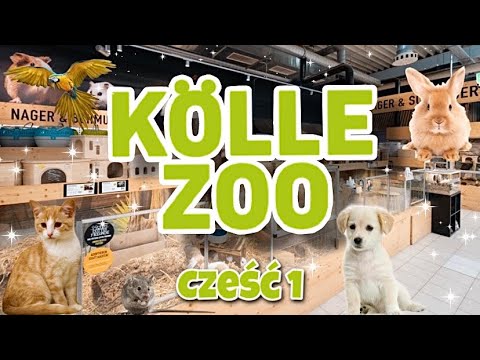 Kölle Zoo MEGA