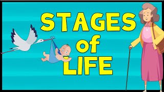 Stages of Life - Vocabulary | Minimal English