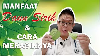 BEBERAPA MANFAAT DAUN SIRIH UNTUK KESEHATAN DAN CARA MERACIKNYA