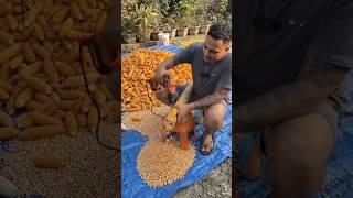 🔰भुट्टे से बीज निकालने का देसी जुगाड़ | Drill Machine Trick 😲.  #shorts #desijugaad