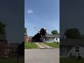 Crane wrecks roof trying to remove tree