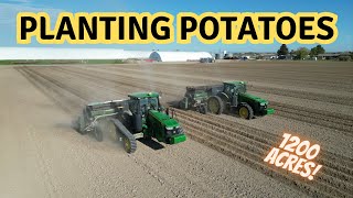 Potato Planting: Massive Fields, Powerful Machinery! John Deere tractors! Lockwood Planters!