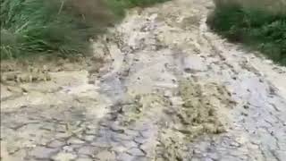 Download Lagu Silvi, VIA CERRANO, LA VERGOGNA SENZA FINE  STRADA TRASFORMATA IN UN FIUME DI FANGO MP3 Download Lagu Silvi, VIA CERRANO, LA VERGOGNA SENZA FINE  STRADA TRASFORMATA IN UN FIUME DI FANGO MP3