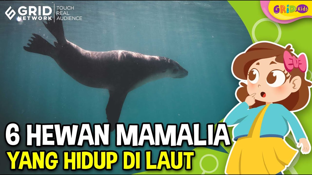 Ular hitam kecil masuk rumah menurut islam