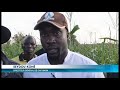 Socit  le ministre adjoumani kouassi visite lancien site de la sodefel