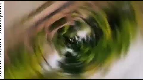 University of science and technology Bannu || Rainy day || USTB || 2022