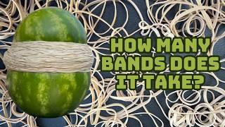 How Many Rubber Bands Does it Take to Explode a Watermelon