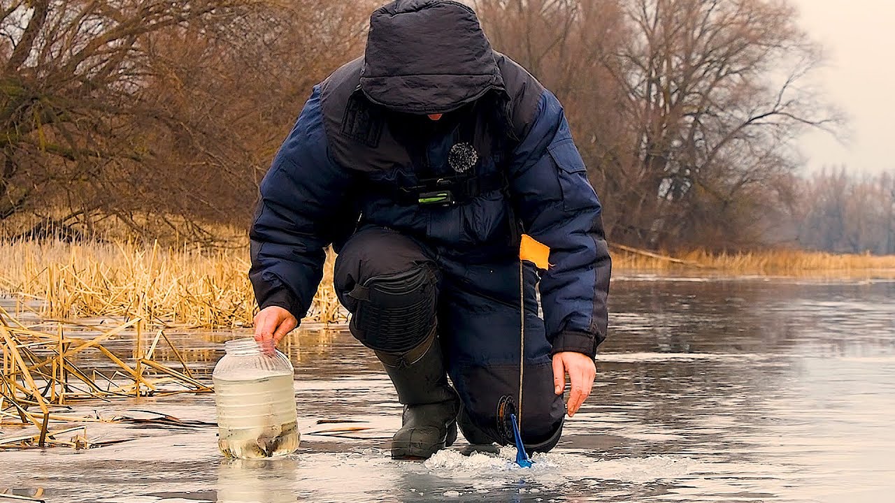 РЫБАЛКА НА ЖЕРЛИЦЫ НА ДЕРЕВЕНСКОМ ПРУДУ! Ловлю на жерлицы щуку и плотву ...