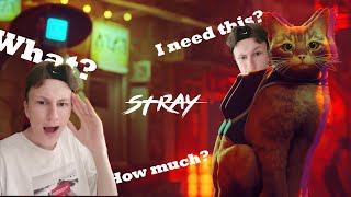 Stray краткий обзор на игру || Стоит ли покупать?