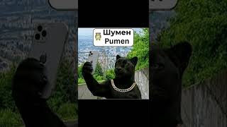 Тръгнала е Шуменската пантера 🤣🤣🤣