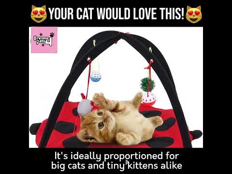 Cat play mat