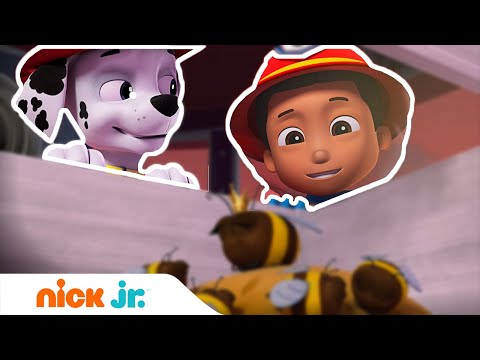 Щенячий патруль | Щенки спасают королеву пчел 🐝| Nick Jr. Россия