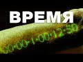 Почему нам всегда не хватает времени. Как понимали время наши предки. Виталий Сундаков