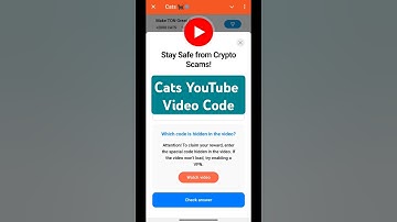 Stay Safe From Crypto Scams | Stat Safe From Crypto Scam Cats Code | Cats Video Code