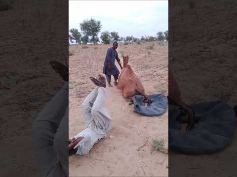 نهض هذا الرجل وأخرج إبريق ماء خلفه سقط الرجل وارتفعت ساقاه 