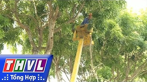 THVL | Chung tay đảm bảo an toàn, vệ sinh lao động