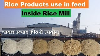 Feed from Rice products | Inside a Rice Mill | Rice Sheller | Rice products