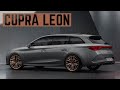 Een eerste blik op de Cupra Leon! (2020)