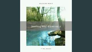 Relaxing Crystal Water Cold Vol. 2