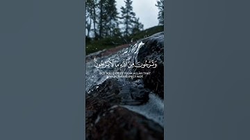 #سوره_النساء #محمد_ايوب #quran #قران_كريم #راحة_نفسية #اكسبلور