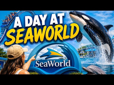 a day at SeaWorld 