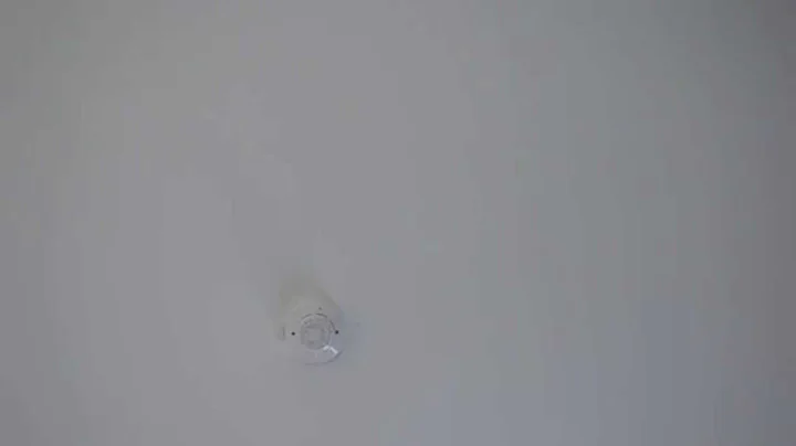 Tess E. McKenzie, Smoke detector, 2014