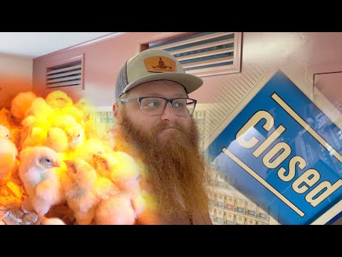 The Post Office Closed (With My Chicks Inside)