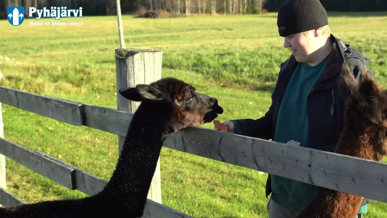 Pyhäjärvi tourism ENG