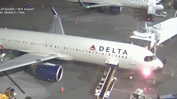 Passengers escape using emergency slides after Delta plane catches fire