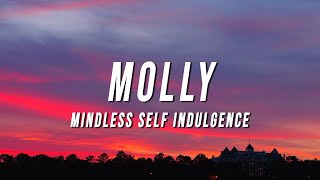Mindless Self Indulgence - Molly (TikTok Remix) [Lyrics] Resimi