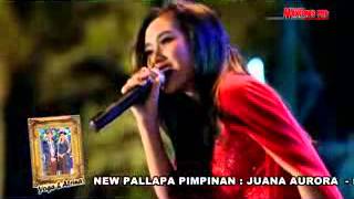 JARANG PULANG CITA CITATA NEW PALLAPA