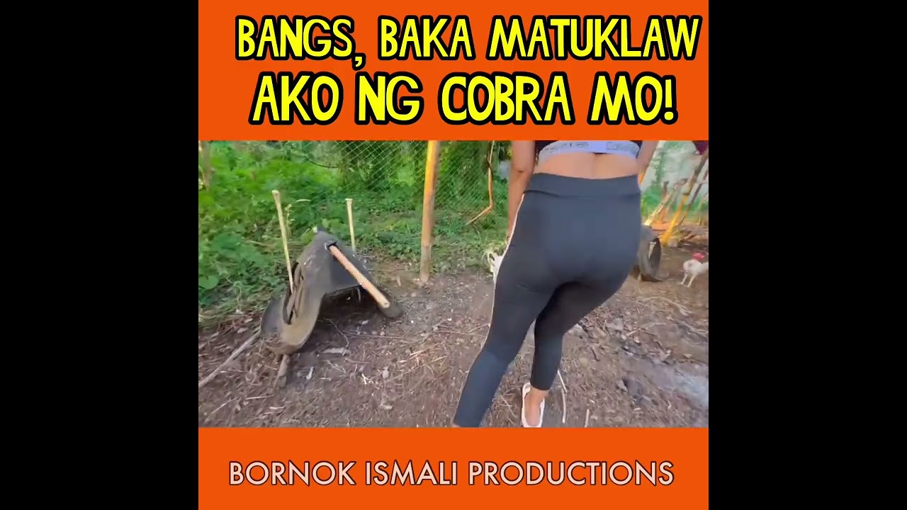 BANGS BAKA MATUKLAW AKO NG COBRA MO!