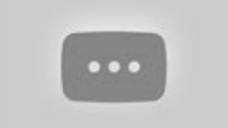 Quibe E Coxinha Tem Seus Primeiros Recebidos Miauuuuuuu E