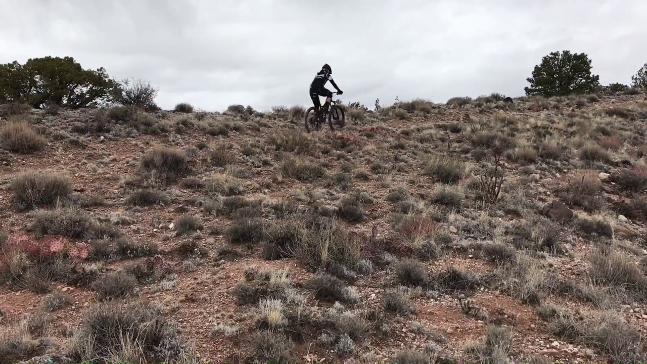 camera iphone 8 plus apk Cheese Grater