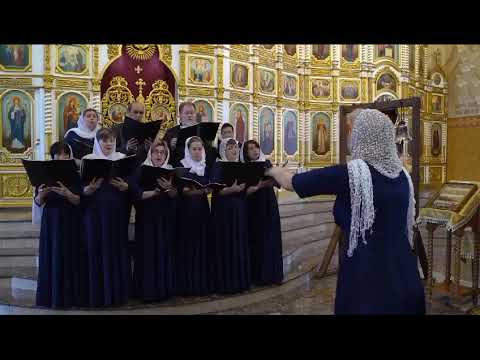 Видео: С РОЖДЕСТВОМ ХРИСТОВЫМ!  ХОР НИКОЛЬСКОГО СОБОРА Г.ЧЕРКЕССКА . РЕГЕНТ Н.Ю.СОТНИКОВА ( 2024 Г)