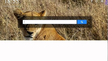 تعرف على المتصفح Torch بمميزات خيالية أخير اصدار 2015