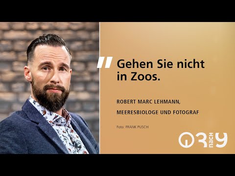 Video: Zu welcher Kategorie gehört die Meeresbiologie?