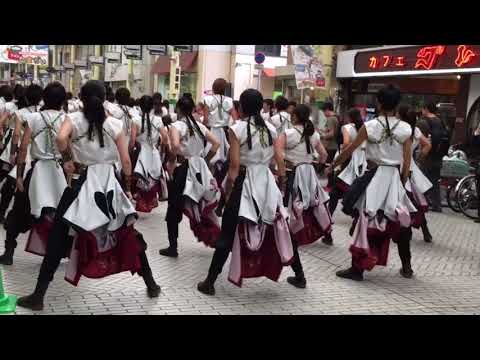 香川大学よさこい連"風華"「誇道」第2回YOSAKOI高松祭り 10/14 田町商店街パレード会場