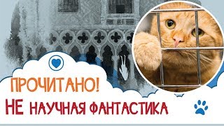 Не научная фантастика, но прочитано! 📚 9 книг Не научная фантастика, но прочитано! 📚 9 книг