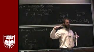 Lecture 15 - The Lungs of the Carbon Cycle