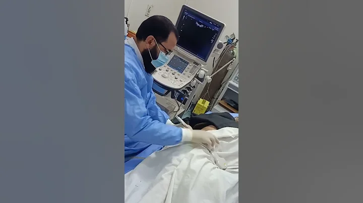 Ultrasound guided renal biopsy.Dr. El Sayed Imam NHTMRI Cairo Egypt. - DayDayNews