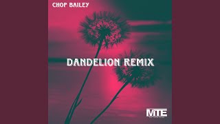 Dandelions (Remix) - Chop Bailey