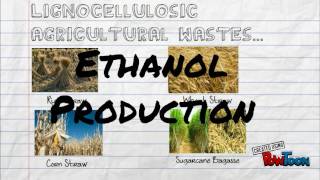 Ethanol Production From Agricultural Waste Ethanol Production From Agricultural Waste