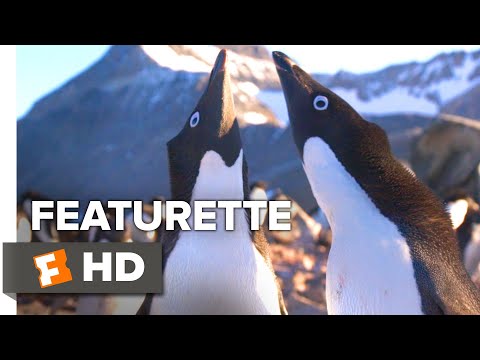 Penguins Exclusive Featurette - All About Steve (2019) | Movieclips Indie