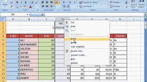 MS Excel Tutorial Urdu or Hindi Part 10