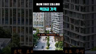 용산에 지어진 오피스텔의 역대급 가격ㄷㄷ