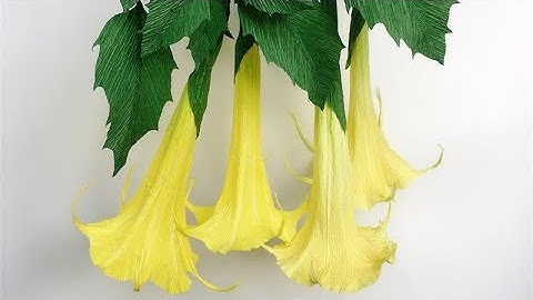 ABC TV | How To Make Brugmansia Paper Flower From Crepe Paper - Craft Tutorial