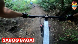 RIDE LANG! SILIPIN NATIN ANG MGA BAGONG LINYA NG COBRA TRAIL