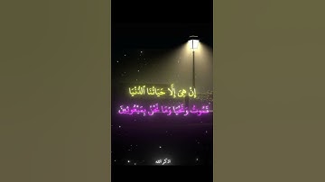 اذكر الله قدر تعبي باكسبلور #تلاوة #قرآن_كريم #ياسر_الدوسري #تلاوة #تلاوة_خاشعة #قرآن